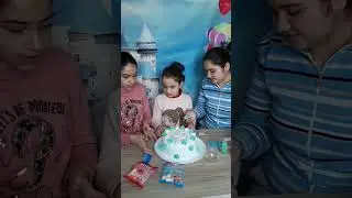 როგორ ვრთავთ ანას ტორტს