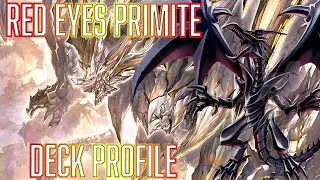 Yu-Gi-Oh! Red Eyes Black Dragon Primite Deck Profile