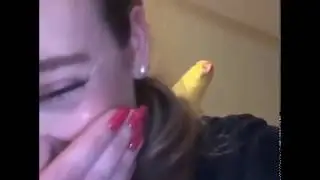 Parrot Singing Meme - FUNNY MEMES