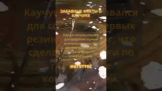 Забавные факты о каучуке - факт 5 #shorts