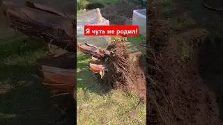 С трудом вытянул банан😱