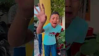 Cat Saved a boy ❤️😃 #shorts #trending #love #cat #ytshorts #maa