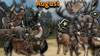 Diamond and Rare montage for August 2024!!|theHunter COTW