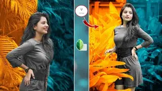 Snapseed dual tone Photo editing || Dual Photo editing || Snapseed Photo editing ||  dual tone edit