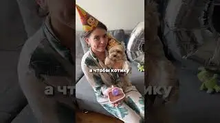 В конце реакция котика на колпак😂