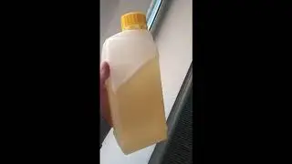 Дижизант+ | Экологичное дезинфицирующее средство