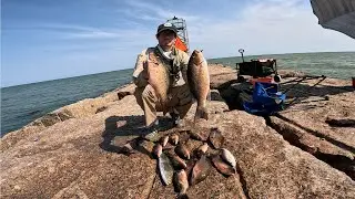 Monster TEXAS SNAPPER from LAND !