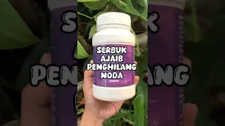Penghilang noda pakaian membandel