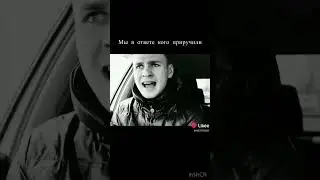 Для собак мы мир, но мир для нас инач