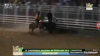 CELSO VITÓRIO JR FAZ FAZER VALER UM BOI DE 40@ E GANHA PREMIO NO PQ DAS PALMEIRAS 🌴🌴🌴