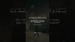 Сура 30 Ар-Рум (Римляне), 48-49 аяты. Шейх Ясир ад-Даусари