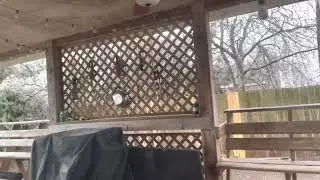 It’s freezing out out here in Austin