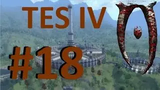 TES IV Oblivion #18 - Необходимые мелочи