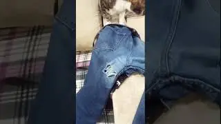 Печальки Случились Одномоментно 