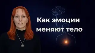 Как эмоции меняют тело: что происходит с иммунитетом и нервной системой