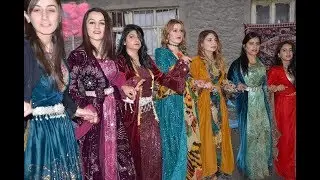 Şerwan Müzik Hozan Şerwan - Ana Dıkım Bızewcîm Bobma Kürtçe Halay Yepyeni