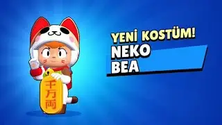 NEKO BEA ALDIM😻💛