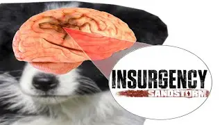 Why Insurgency Sandstorm Players Need to Stop Giving Me an Aneurysm