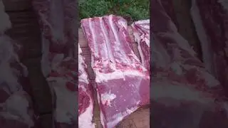 Obrađena slanina