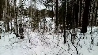 Мотоблок