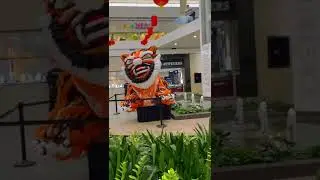 YEAR OF THE TIGER 2022 at EASTRIDGE MALL, SAN JOSE, CA