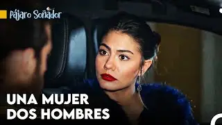 Peleando Por Una Chica - Pájaro Soñador