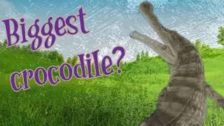 The biggest crocodile of all time.