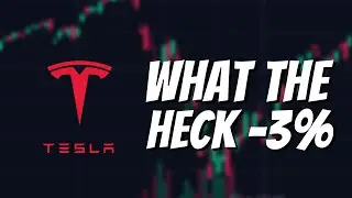 What the HECK happened to Tesla Stock Today?