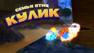 🐤 КУЛИК (НОВАЯ Птица) в Семья Птиц Роблокс 🐤 Roblox Feather Family SANDPIPER