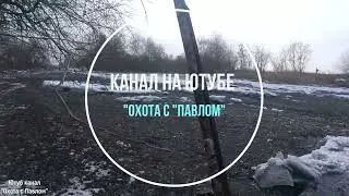 Охота на Хищника! Невероятно живучая лиса!
