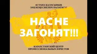 с нами профессиональные юристы!