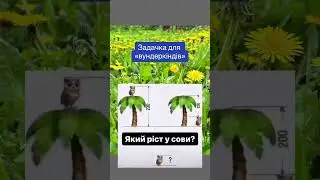#shortvideo
