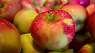 Ninja Foodi Applesauce