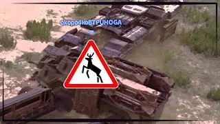 Не делай как этот... || Crossout