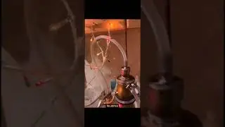 12 декабря 2023 г.