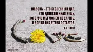 💖Любовь изучают, любовь признают.💗
