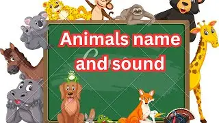 🐘 🦘 🐎 Animals name and their sounds 🐐 🦁  🐅