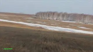 В поисках тетеревиного тока 2021.