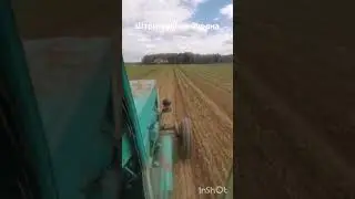 трактор Т40 вычесывает сорняки