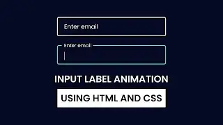 Input Label Animation in HTML & CSS With source code