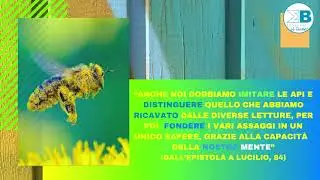 IL LICEO CON IL LATINO