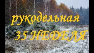 Рукодельно-вышивальная 35 неделя (ноябрь) 2021г /Вышивка