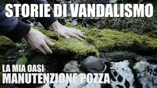 LA MIA OASI - Manutenzione Pozza e Storie di Vandalismo