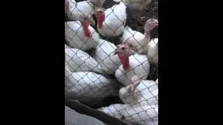 IMG 3031