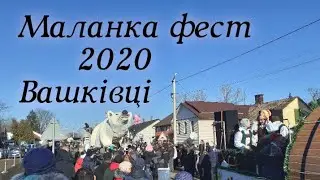 Маланка  переберія,  Вашківці 2020