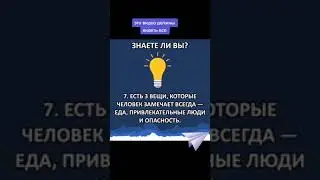 Интересные факты