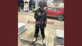 Project flow