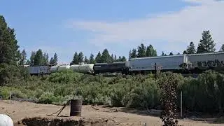 BNSF 715 SB With nice crew