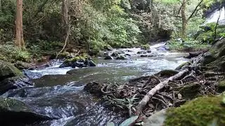3 Minute Relaxing Sleep Music: Nature Sounds, Fall Asleep, Meditation Music, Deep Sleep