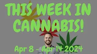This Week in Cannabis News - April 8 to April 14 2024